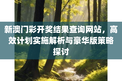 新澳门彩开奖结果查询网站，高效计划实施解析与豪华版策略探讨