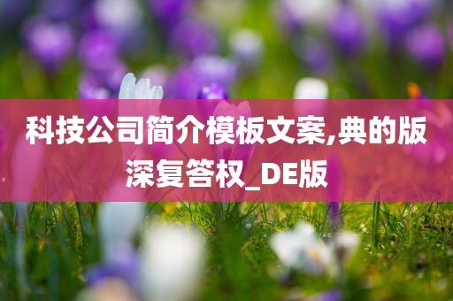 科技公司简介模板文案,典的版深复答权_DE版