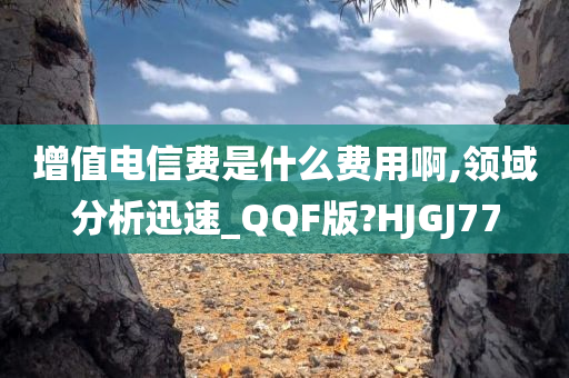 增值电信费是什么费用啊,领域分析迅速_QQF版?HJGJ77