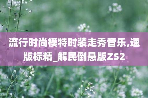 流行时尚模特时装走秀音乐,速版标精_解民倒悬版ZS2