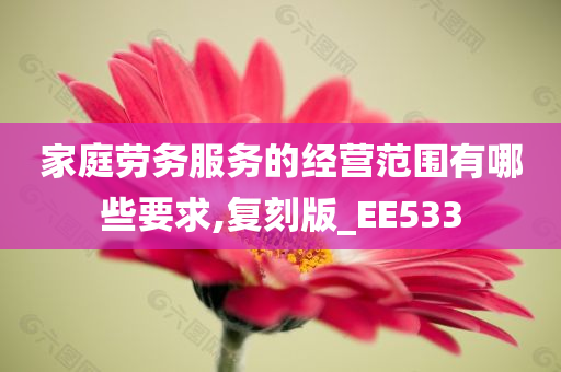 家庭劳务服务的经营范围有哪些要求,复刻版_EE533