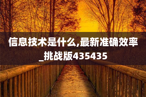 信息技术是什么,最新准确效率_挑战版435435