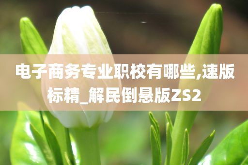 电子商务专业职校有哪些,速版标精_解民倒悬版ZS2