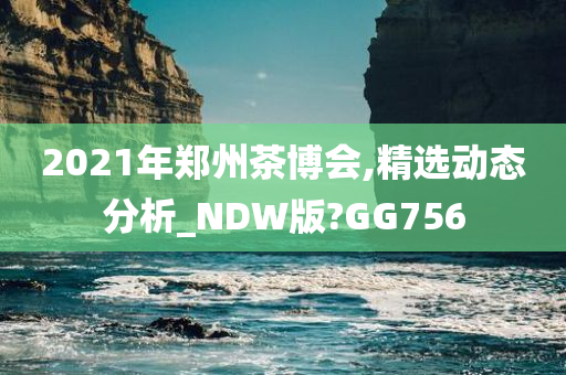 2021年郑州茶博会,精选动态分析_NDW版?GG756