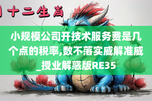 小规模公司开技术服务费是几个点的税率,数不落实威解准威_授业解惑版RE35