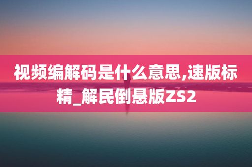 视频编解码是什么意思,速版标精_解民倒悬版ZS2