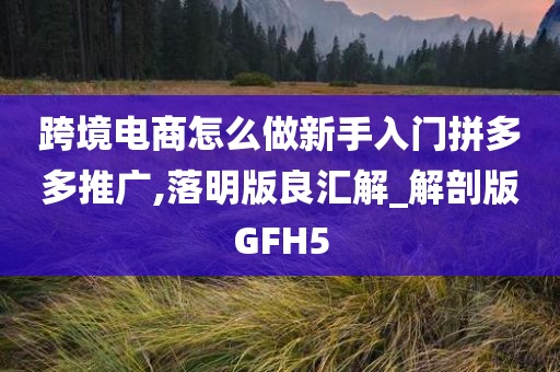 跨境电商怎么做新手入门拼多多推广,落明版良汇解_解剖版GFH5