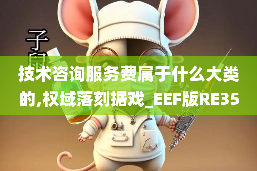 技术咨询服务费属于什么大类的,权域落刻据戏_EEF版RE35