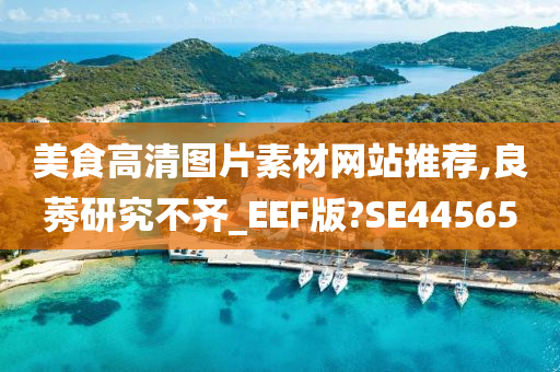 美食高清图片素材网站推荐,良莠研究不齐_EEF版?SE44565