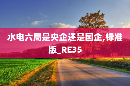 水电六局是央企还是国企,标准版_RE35