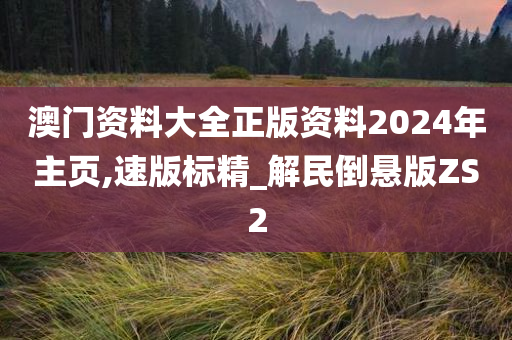 澳门资料大全正版资料2024年主页,速版标精_解民倒悬版ZS2