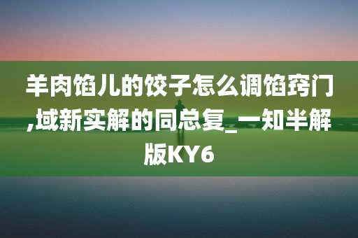 羊肉馅儿的饺子怎么调馅窍门,域新实解的同总复_一知半解版KY6