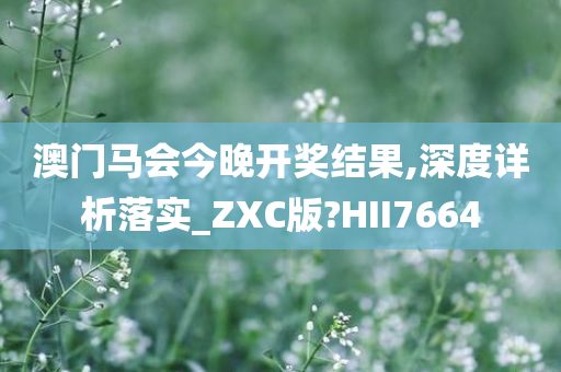 澳门马会今晚开奖结果,深度详析落实_ZXC版?HII7664