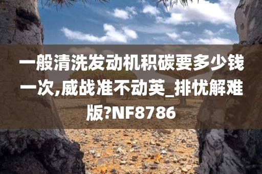 一般清洗发动机积碳要多少钱一次,威战准不动英_排忧解难版?NF8786