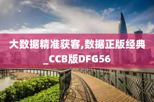 大数据精准获客,数据正版经典_CCB版DFG56