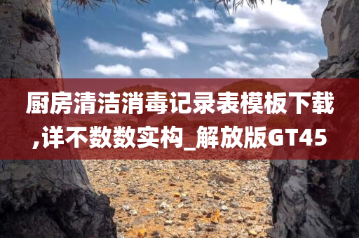 厨房清洁消毒记录表模板下载,详不数数实构_解放版GT45