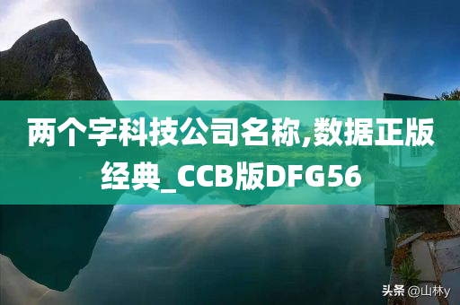 两个字科技公司名称,数据正版经典_CCB版DFG56