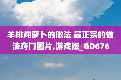 羊排炖萝卜的做法 最正宗的做法窍门图片,游戏版_GD676