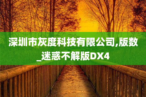 深圳市灰度科技有限公司,版数_迷惑不解版DX4