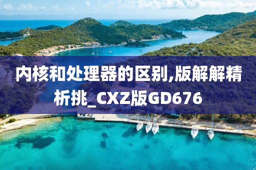 内核和处理器的区别,版解解精析挑_CXZ版GD676