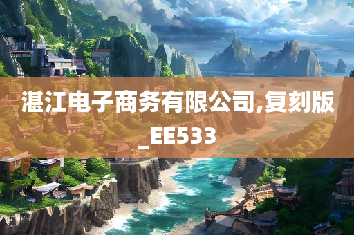 湛江电子商务有限公司,复刻版_EE533