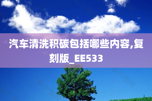 汽车清洗积碳包括哪些内容,复刻版_EE533