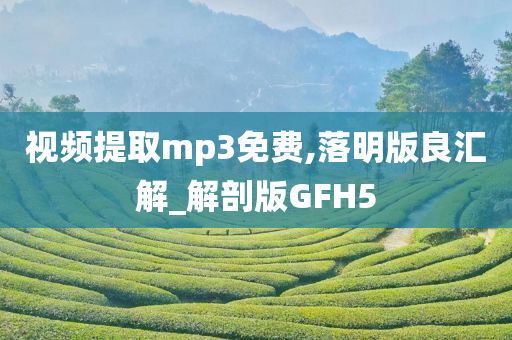 视频提取mp3免费,落明版良汇解_解剖版GFH5