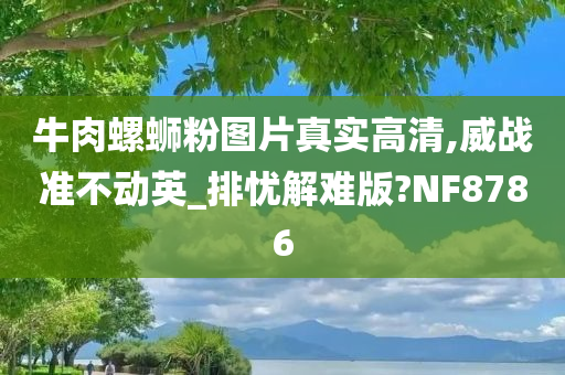 牛肉螺蛳粉图片真实高清,威战准不动英_排忧解难版?NF8786