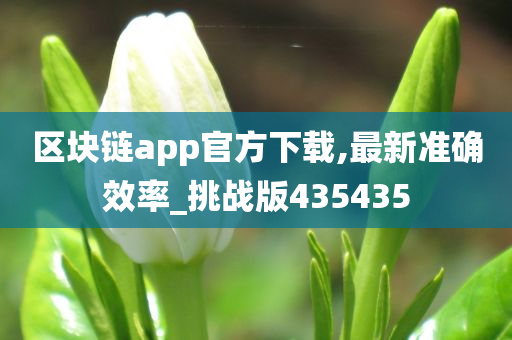 区块链app官方下载,最新准确效率_挑战版435435