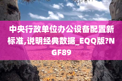 中央行政单位办公设备配置新标准,说明经典数据_EQQ版?NGF89