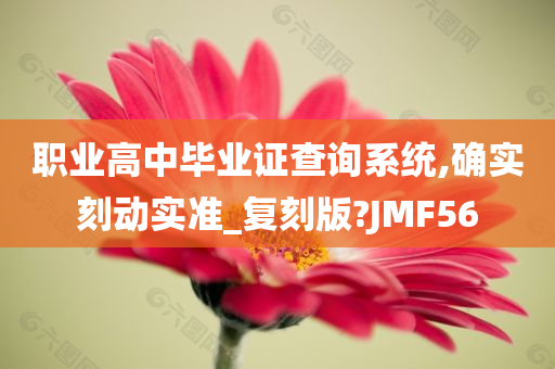 职业高中毕业证查询系统,确实刻动实准_复刻版?JMF56