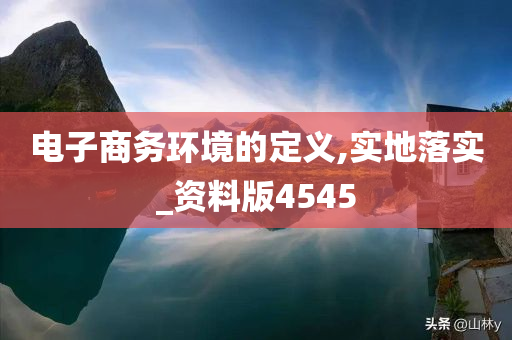 电子商务环境的定义,实地落实_资料版4545