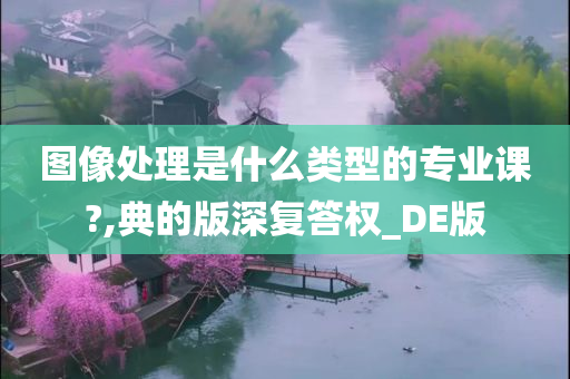 图像处理是什么类型的专业课?,典的版深复答权_DE版