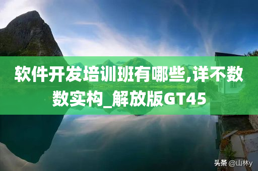 软件开发培训班有哪些,详不数数实构_解放版GT45