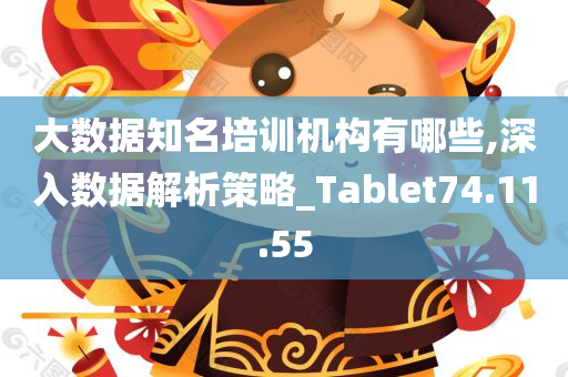 大数据知名培训机构有哪些,深入数据解析策略_Tablet74.11.55