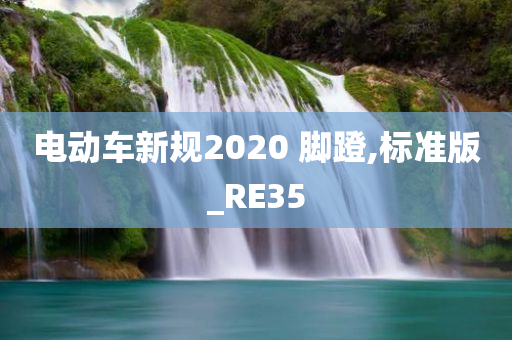 电动车新规2020 脚蹬,标准版_RE35