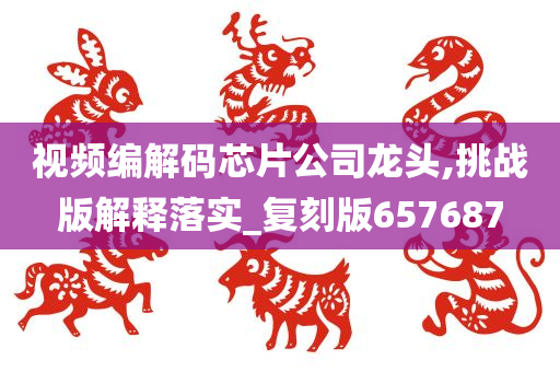 视频编解码芯片公司龙头,挑战版解释落实_复刻版657687