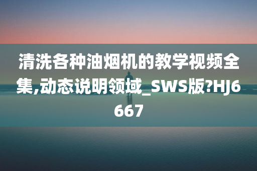 清洗各种油烟机的教学视频全集,动态说明领域_SWS版?HJ6667