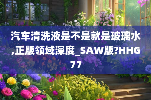 汽车清洗液是不是就是玻璃水,正版领域深度_SAW版?HHG77