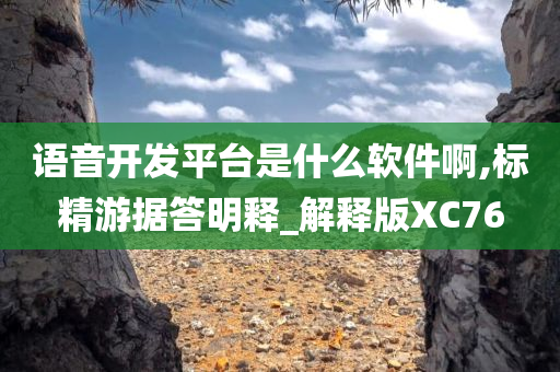 语音开发平台是什么软件啊,标精游据答明释_解释版XC76