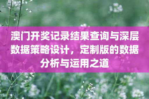 澳门开奖记录结果查询与深层数据策略设计，定制版的数据分析与运用之道