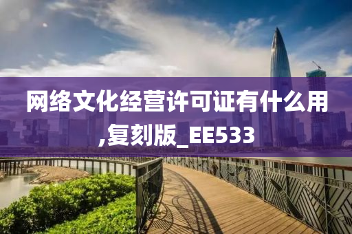 网络文化经营许可证有什么用,复刻版_EE533