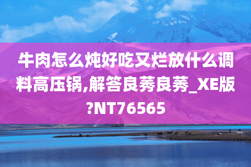 牛肉怎么炖好吃又烂放什么调料高压锅,解答良莠良莠_XE版?NT76565