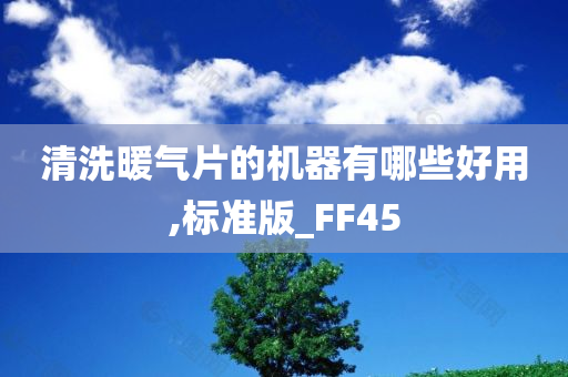 清洗暖气片的机器有哪些好用,标准版_FF45