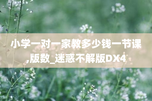 小学一对一家教多少钱一节课,版数_迷惑不解版DX4