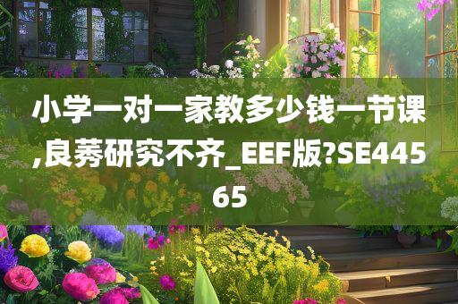 小学一对一家教多少钱一节课,良莠研究不齐_EEF版?SE44565