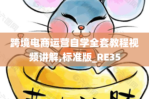 跨境电商运营自学全套教程视频讲解,标准版_RE35