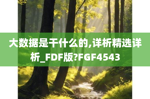 大数据是干什么的,详析精选详析_FDF版?FGF4543