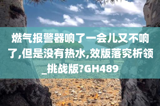 燃气报警器响了一会儿又不响了,但是没有热水,效版落究析领_挑战版?GH489