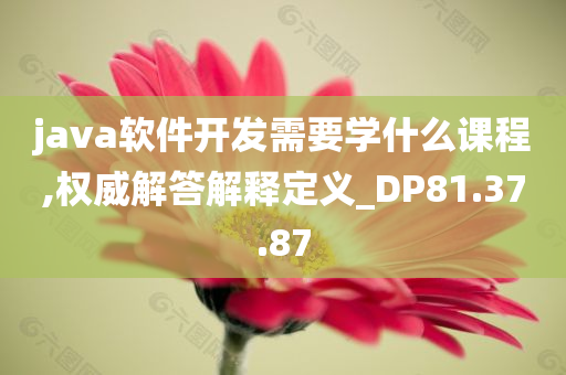 java软件开发需要学什么课程,权威解答解释定义_DP81.37.87